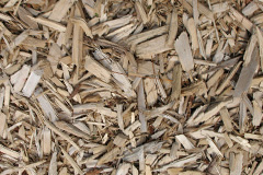 biomass boilers Skelfhill